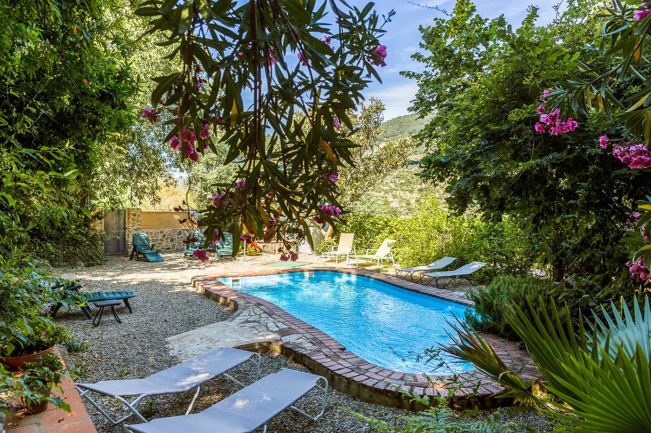 Casa Rural La Casa Del Bosque Navaconcejo Dış mekan fotoğraf