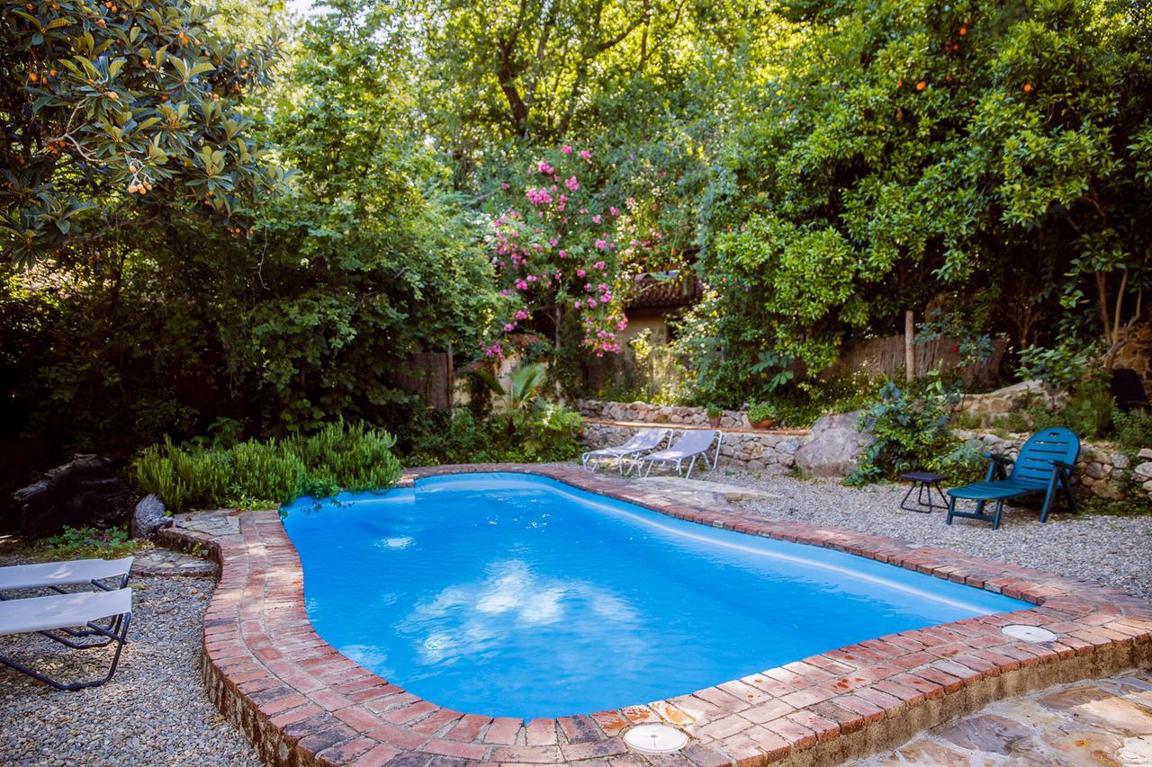 Casa Rural La Casa Del Bosque Navaconcejo Dış mekan fotoğraf