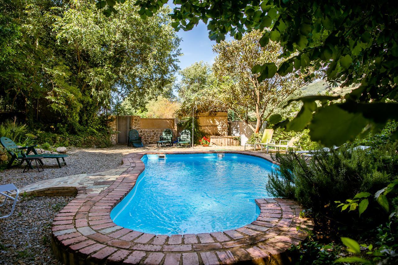 Casa Rural La Casa Del Bosque Navaconcejo Dış mekan fotoğraf